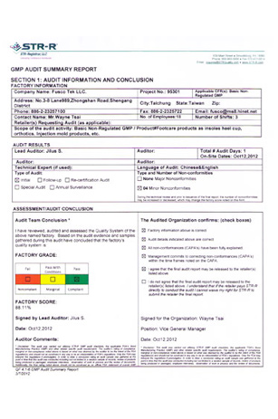 Annual Audit Report STR